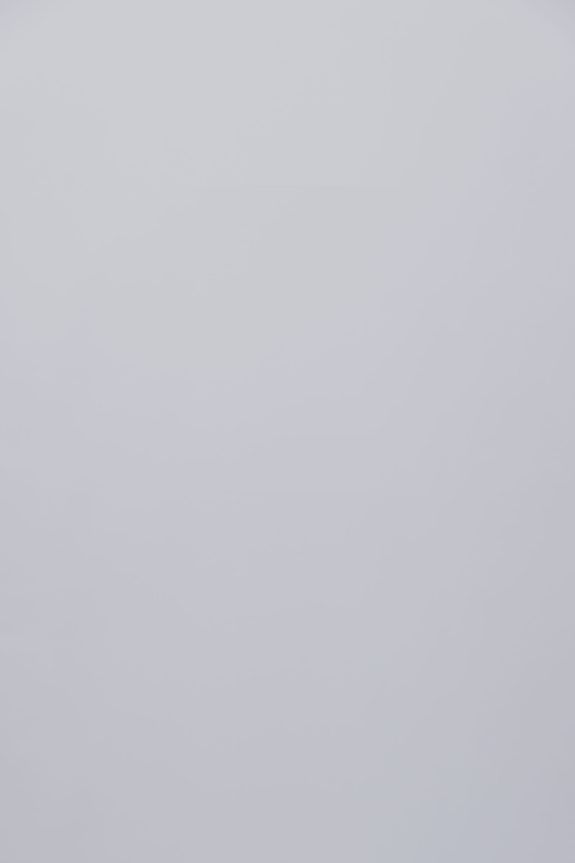 Portretten Incubator 2026 backdrop